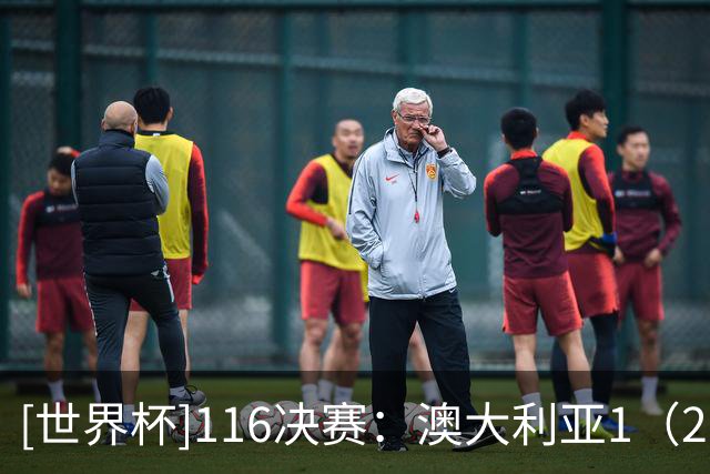 [世界杯]1/16决赛：澳大利亚1（2）-1（4）埃及 集锦